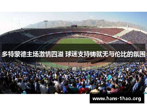 多特蒙德主场激情四溢 球迷支持铸就无与伦比的氛围 多特蒙德主场激情四溢 球迷支持铸就无与伦比的氛围