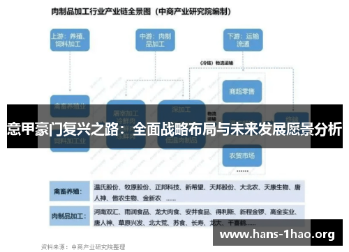 意甲豪门复兴之路:全面战略布局与未来发展愿景分析 意甲豪门复兴之路:全面战略布局与未来发展愿景分析