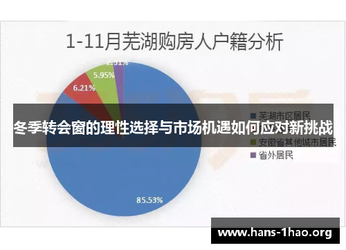 冬季转会窗的理性选择与市场机遇如何应对新挑战 冬季转会窗的理性选择与市场机遇如何应对新挑战