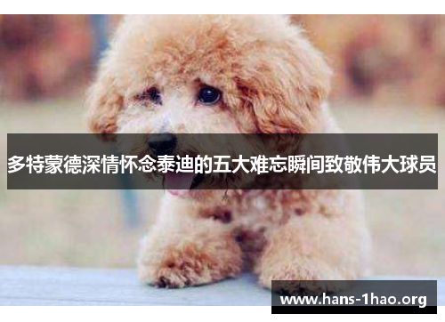 多特蒙德深情怀念泰迪的五大难忘瞬间致敬伟大球员 多特蒙德深情怀念泰迪的五大难忘瞬间致敬伟大球员