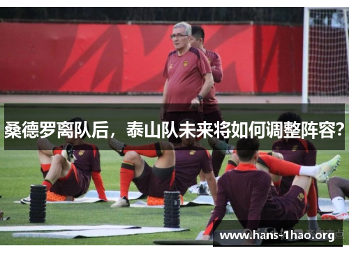 桑德罗离队后,泰山队未来将如何调整阵容? 桑德罗离队后,泰山队未来将如何调整阵容?