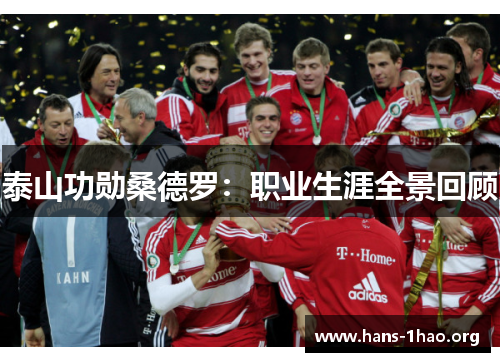 泰山功勋桑德罗:职业生涯全景回顾 泰山功勋桑德罗:职业生涯全景回顾