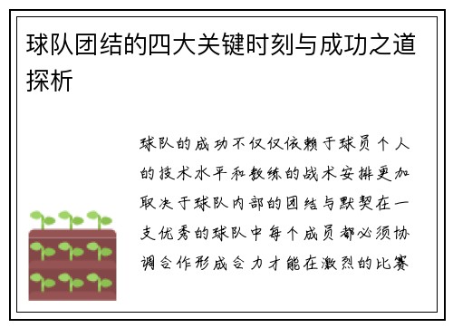 球队团结的四大关键时刻与成功之道探析 球队团结的四大关键时刻与成功之道探析